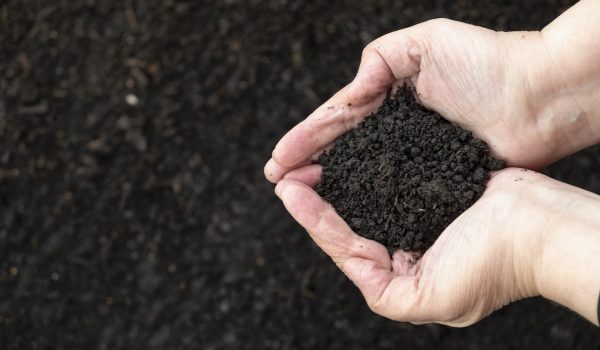 Close up of a handful of soil in hands on a dark background for agriculture